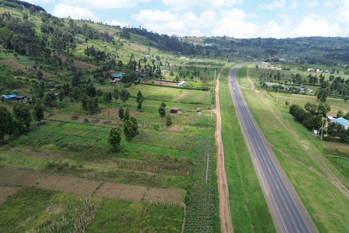 Urban Oasis Nanyuki
